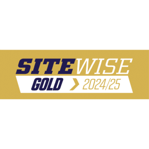 SiteWise Gold 2024-2025 Logo